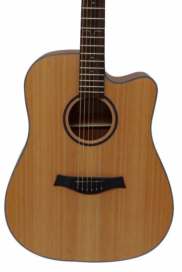 Ranch PG-D1C 41" Dreadnaught Acoustic Guitar