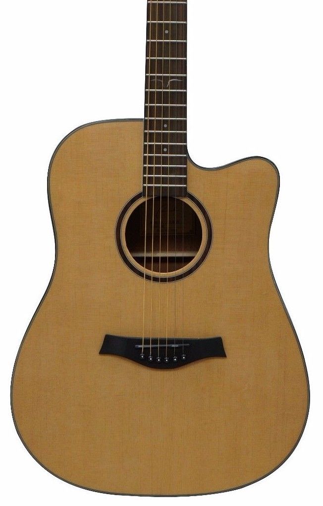 Ranch PG-D3C 41" Dreadnaught Acoustic Guitar